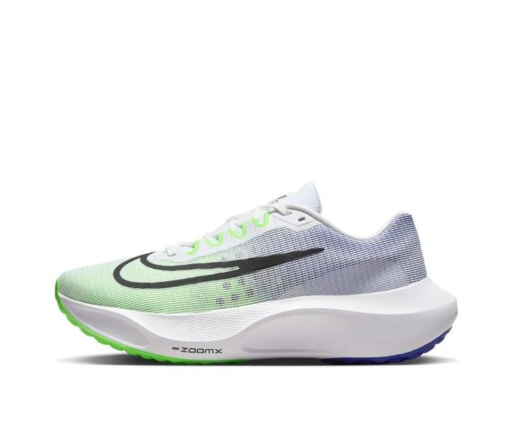 Nike Air Zoom Pegasus 40 (9.5us) -200gel