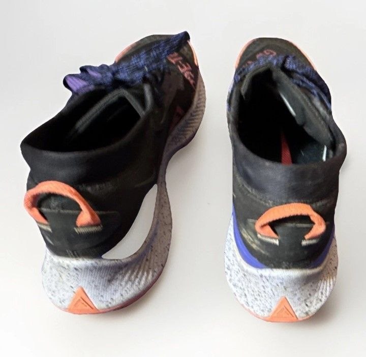 Nike Pegasus Trail 3 Gore-Tex