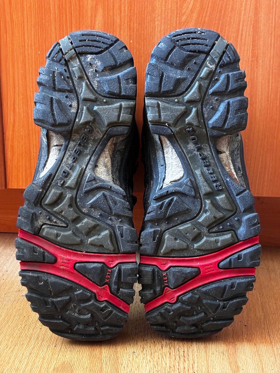 ECCO Receptor 41