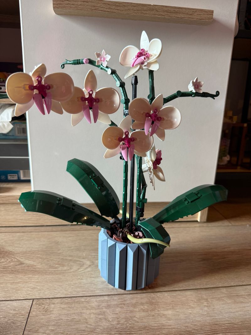 Lego botanicals collection