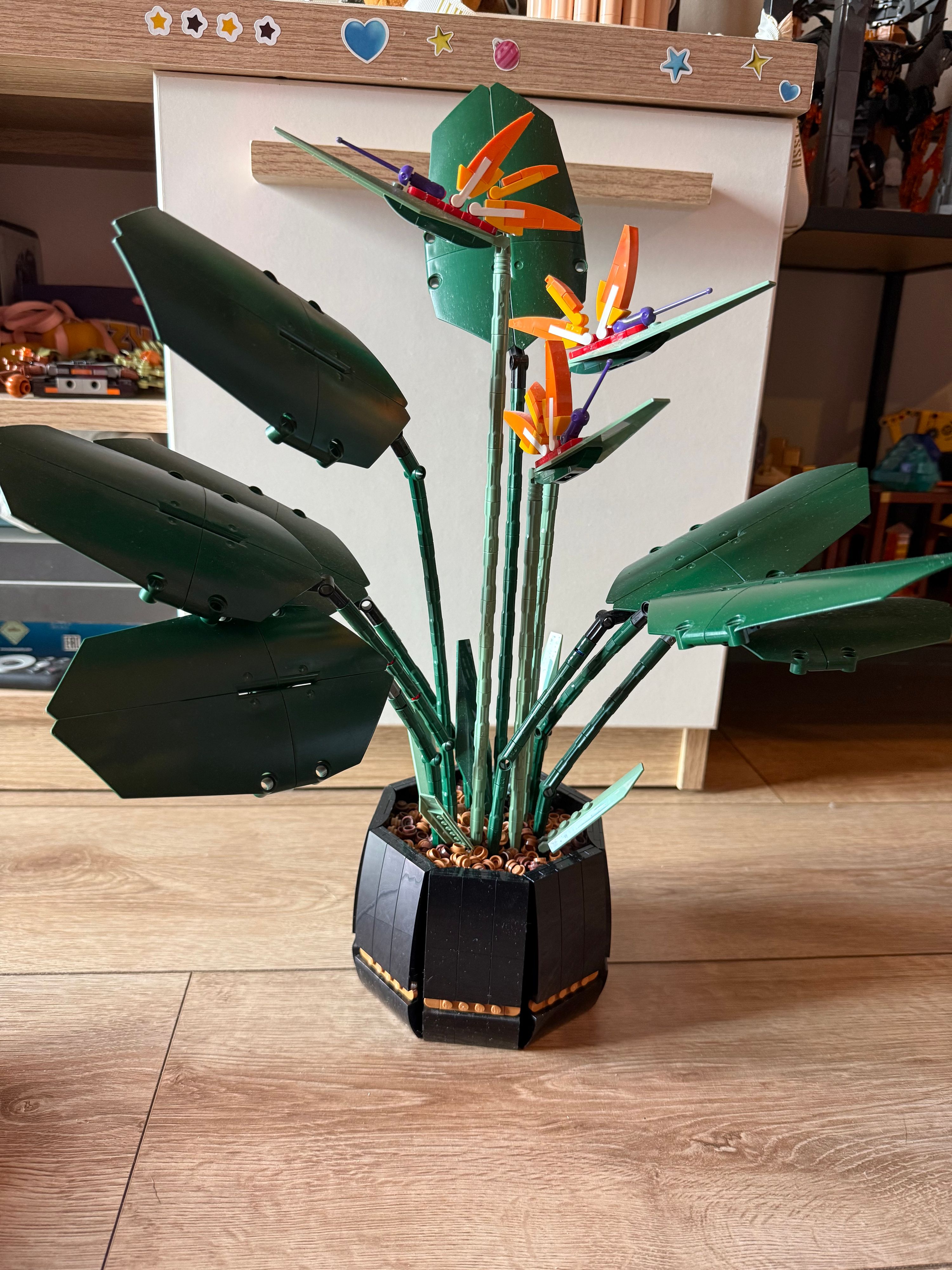 Lego botanicals collection