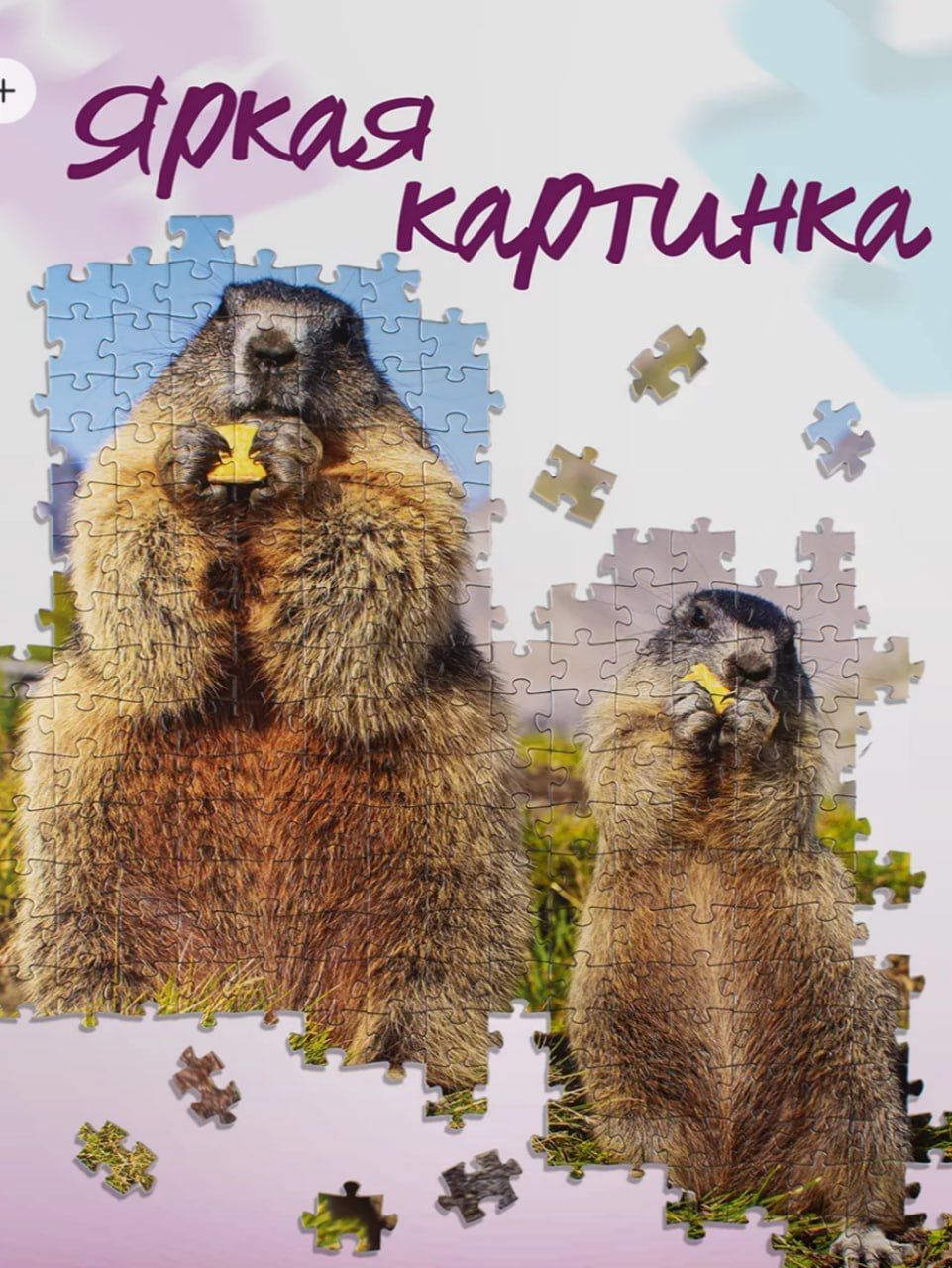 Мозайка пазл 500 деталей