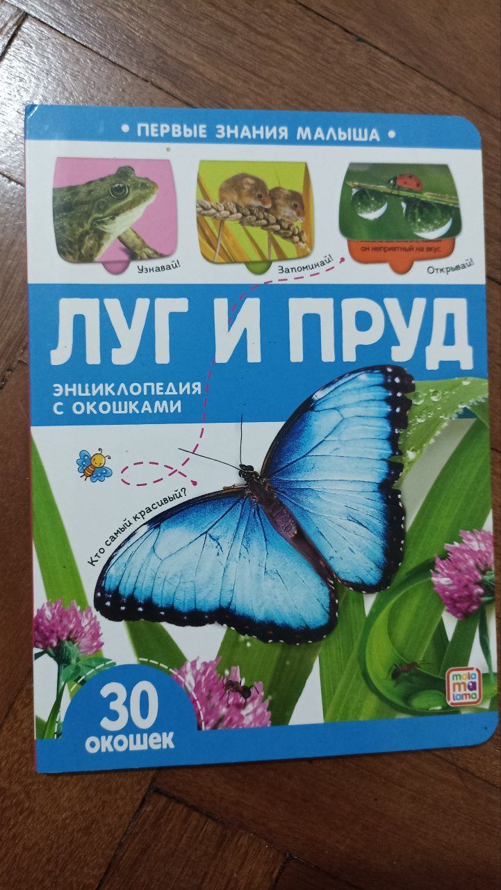 Игрушки и книги