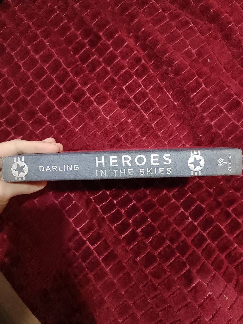 Книга heroes in the skies: american aviators in world war ii