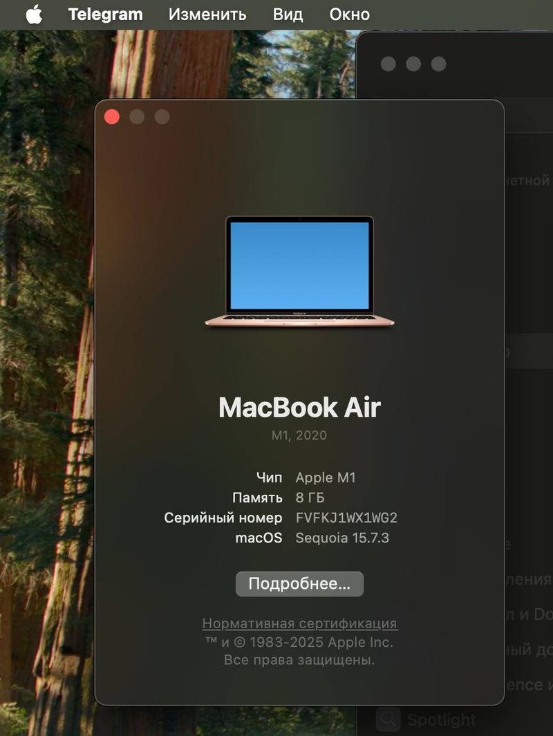 Ноутбук Apple MacBook Air 13” M1, 256 ГБ