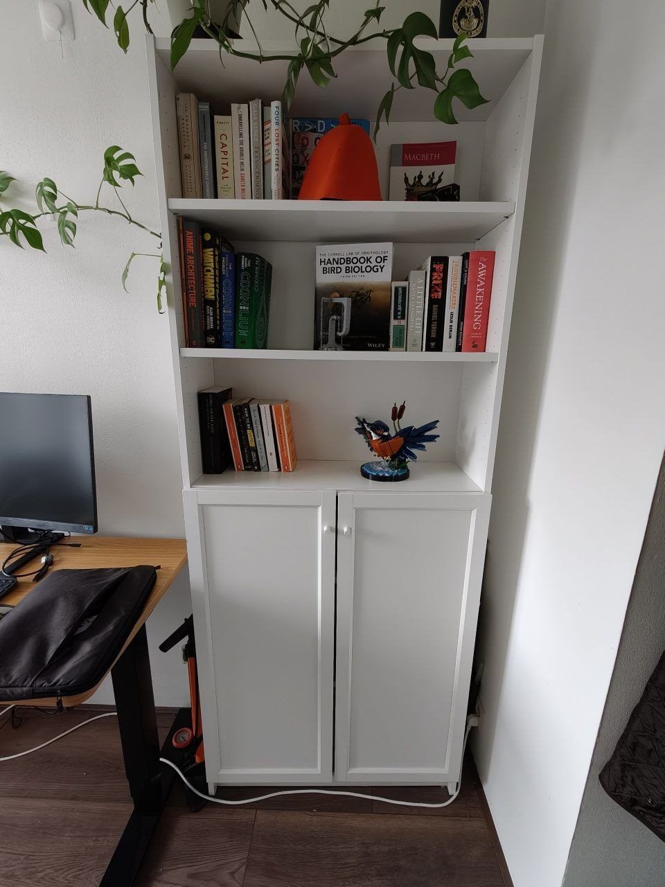 Книжный шкаф IKEA BILLY