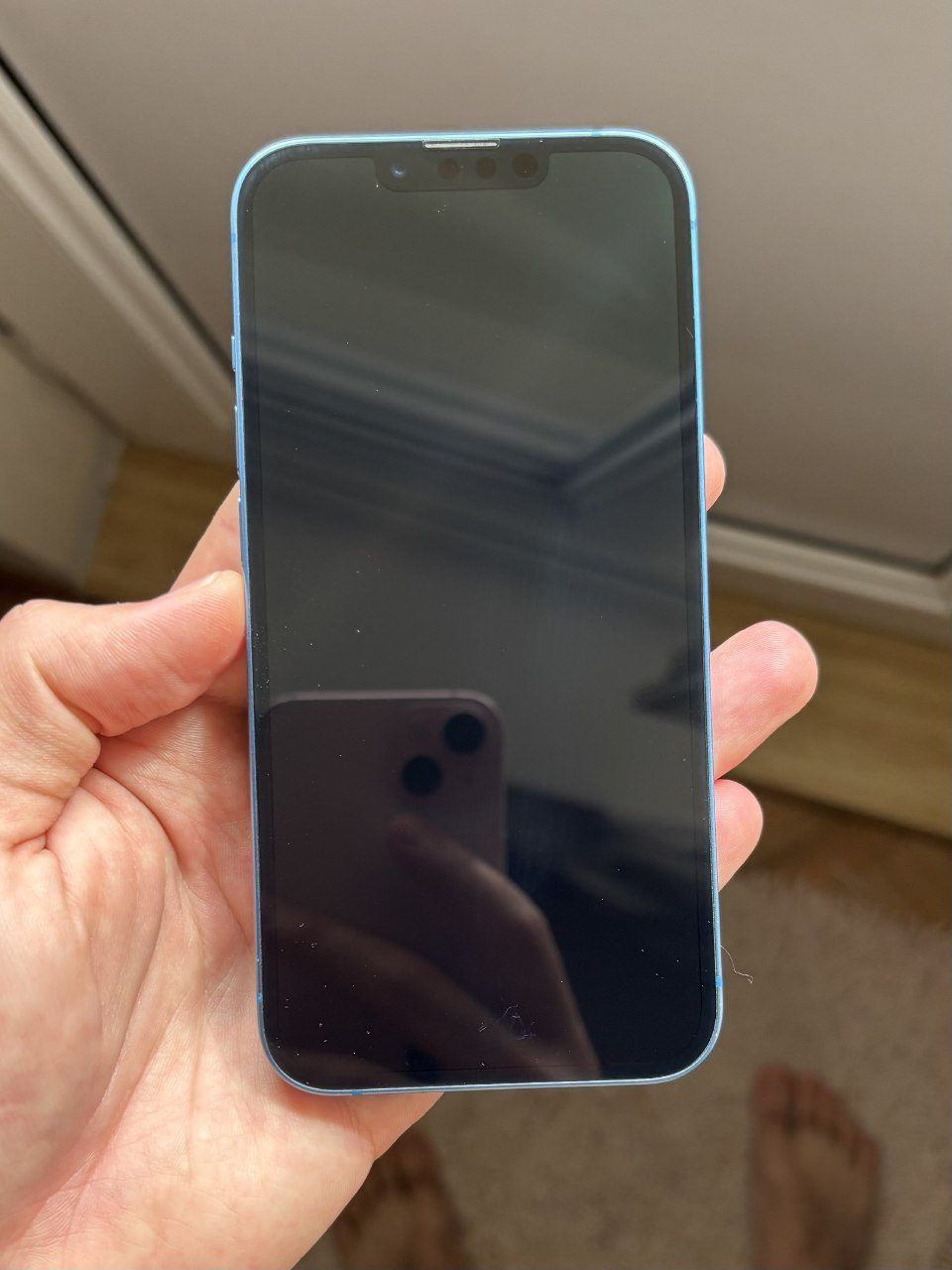 Смартфон Apple iPhone 13, 256 ГБ
