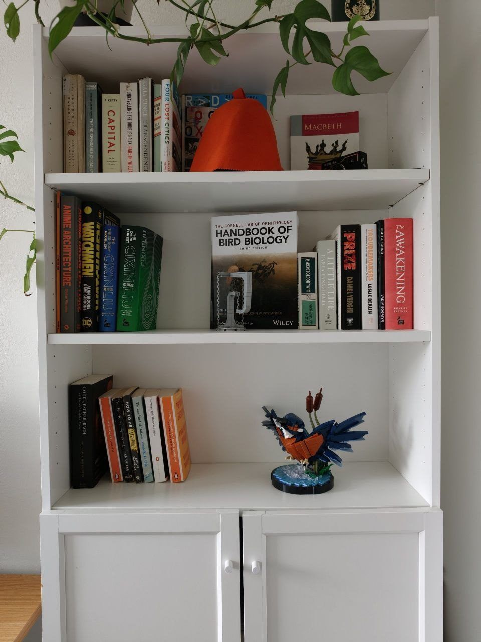 Книжный шкаф IKEA BILLY