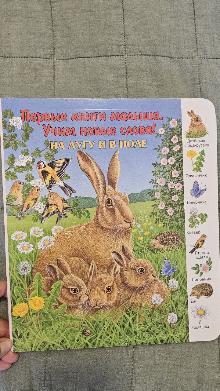 Книга