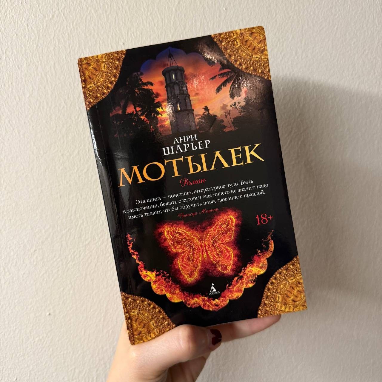 Книга, 633 страницы