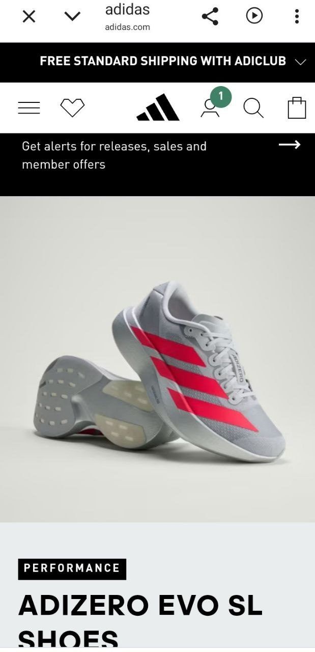 Кроссовки Adidas Evo SL