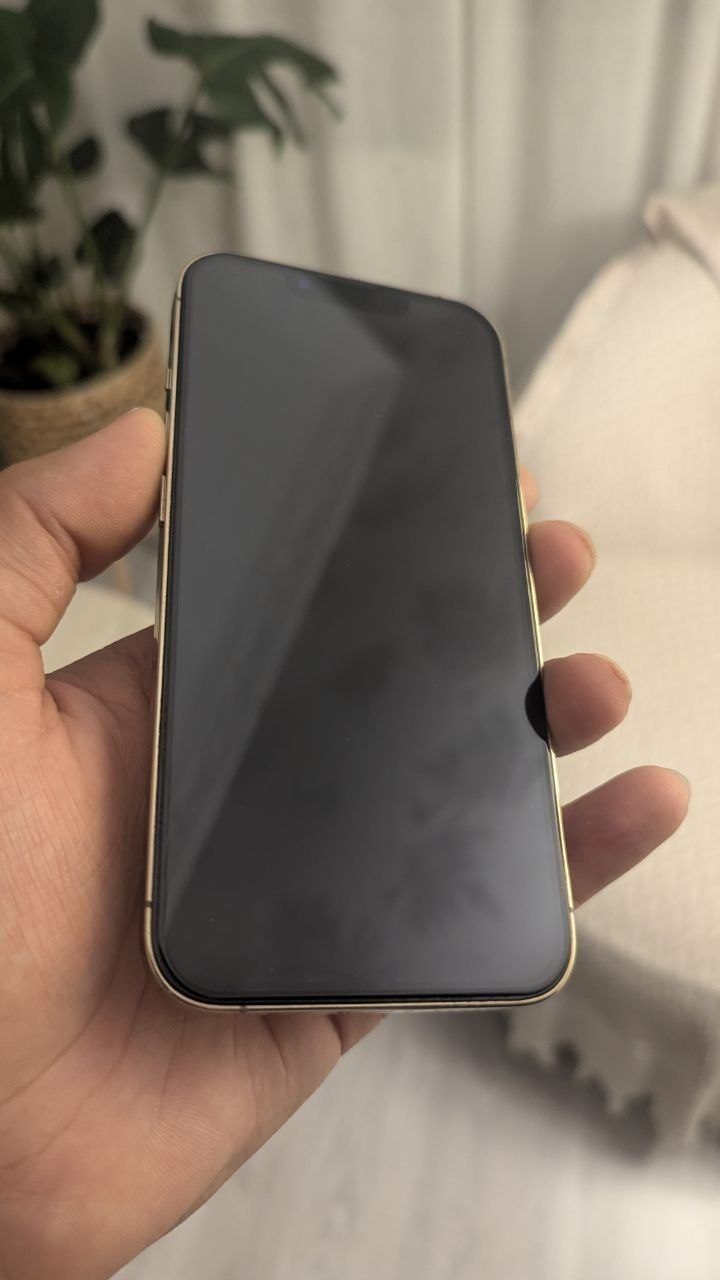 Смартфон iPhone 13 Pro, 256 ГБ