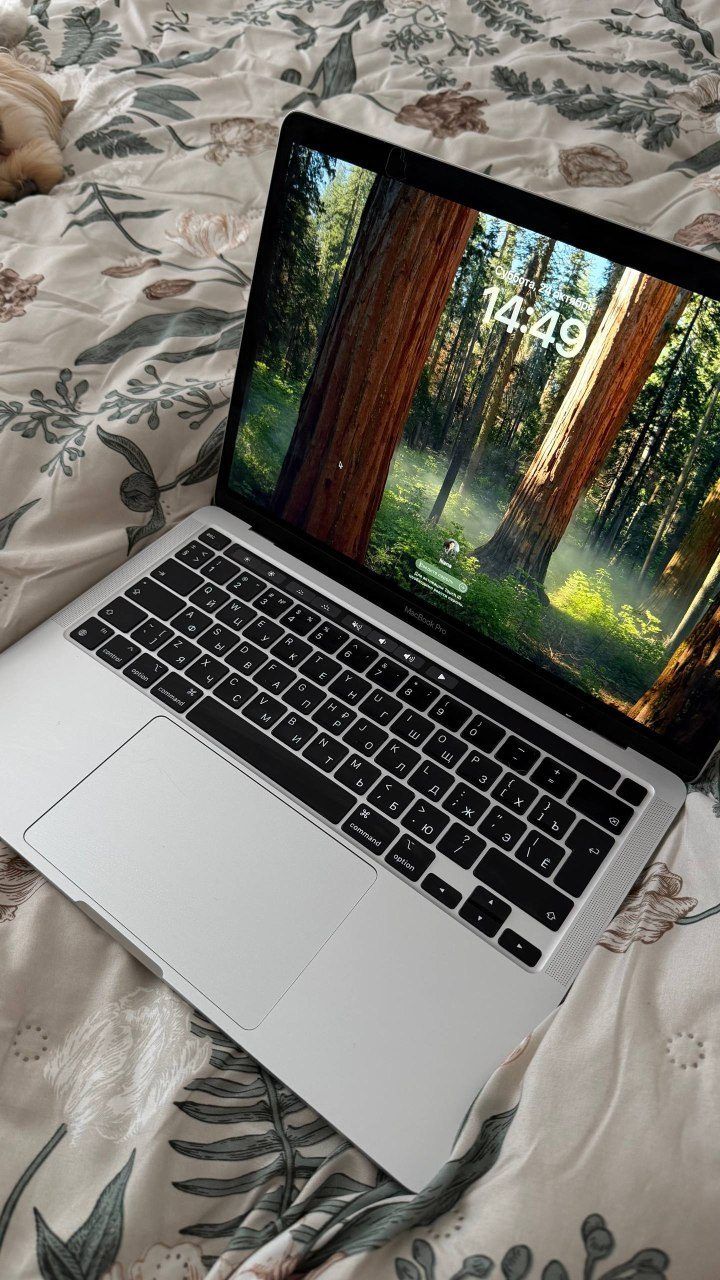 Ноутбук Apple MacBook Pro 13” M1 (2020), 256 ГБ
