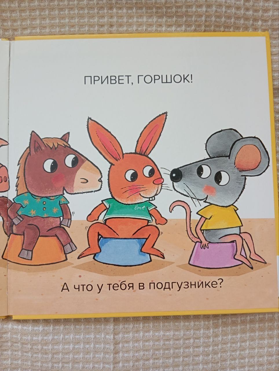 Книжка Что в твоём подгузнике? Я иду на горшок!, от 2х лет
